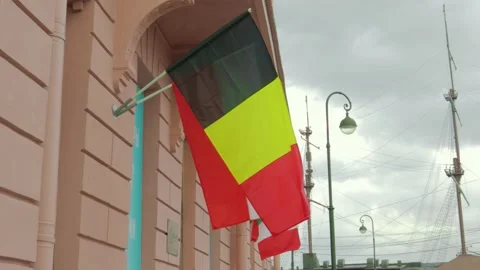 Belgian flag flying in the wind Video stock 157387882