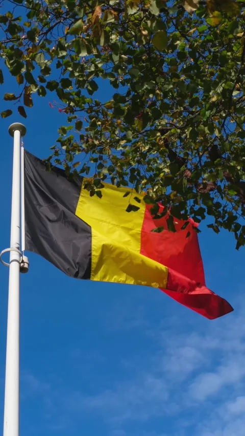 Belgian flag swaying in wind against blue sky, vertical video. Flag of Belgium Stock-Footage 329940261