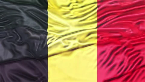 Belgian Flag Waving Realistic 3D Cloth Motion. Stock Footage 336766650
