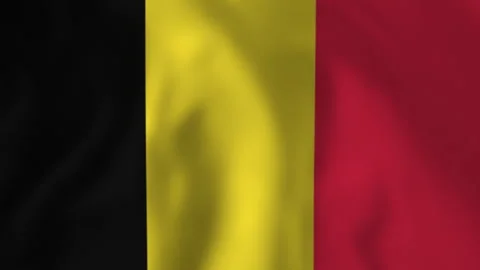 Belgian flag waving in the wind Stock Footage 317223292