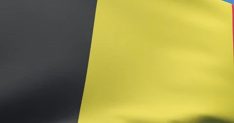 Belgian flag on the wind Video stock 289683188