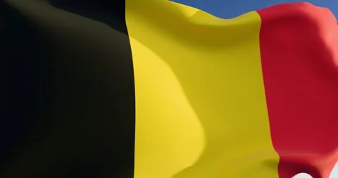 Belgian flag on the wind  Video stock 300205346