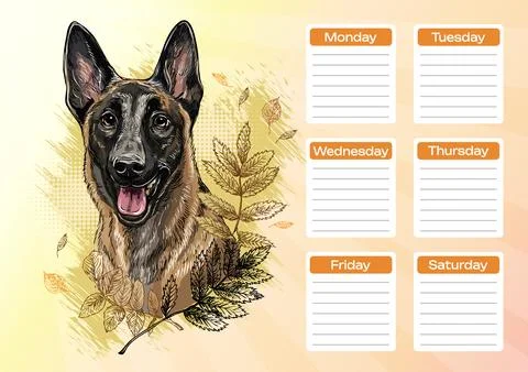 Belgian shepherd Malinois printable planner and school schedule vector Stock Illustration