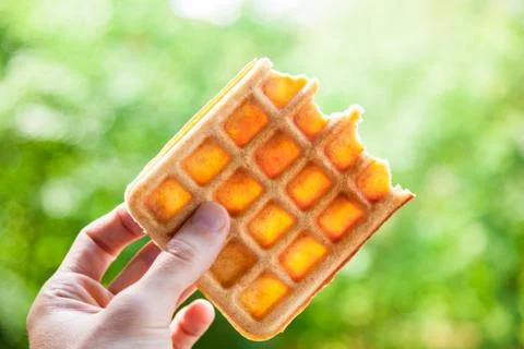 Belgian Waffle Stock Photos