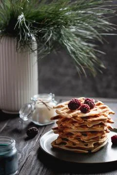 Belgian waffles stack with blackberries on top Stock Photos