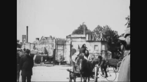 Belgians surrendering cows to German troops Stock Footage 43317354
