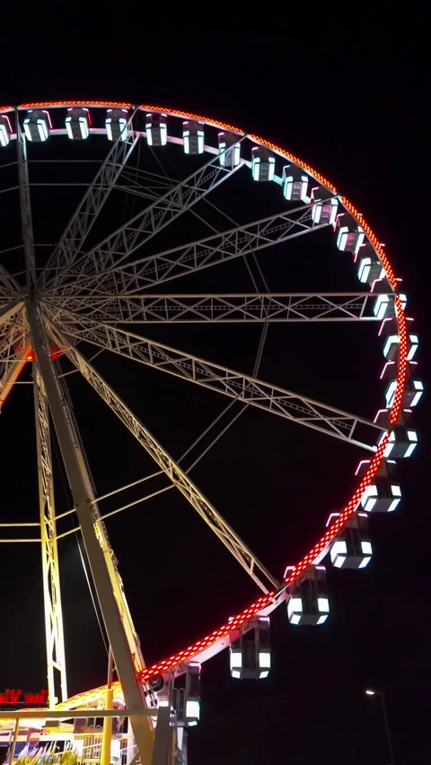 Belgica 11 Stock Footage 344170348