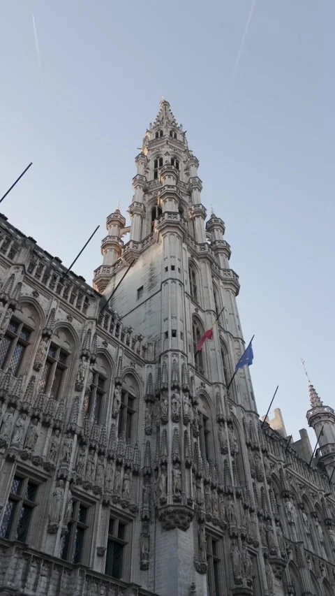 Belgica 14 Stock Footage 344170431