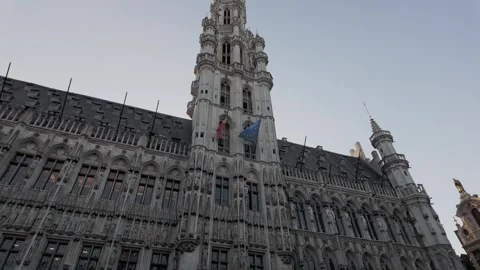 Belgica 15 Stock Footage 344170494