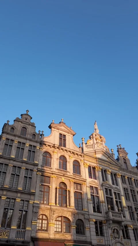 Belgica 16 Stock Footage 344170433