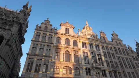 Belgica 17 Stock Footage 344170506