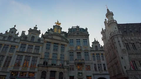 Belgica 18 Stock Footage 344170434