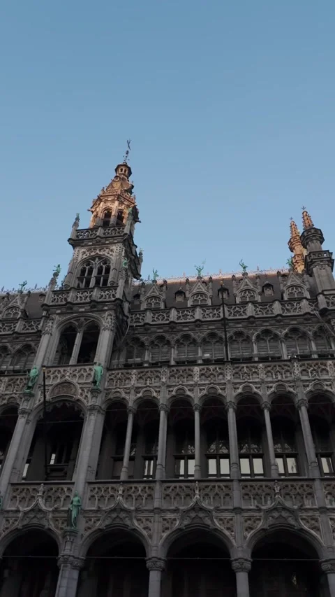Belgica 19 Stock Footage 344170469
