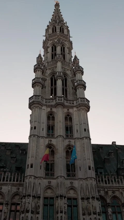 Belgica 21 Stock Footage 344170464