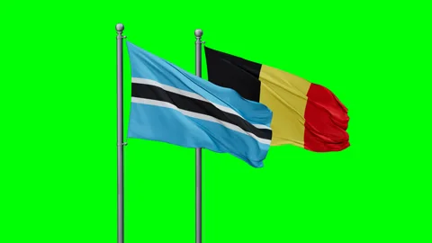Belgium and Botswana flags Stock Footage 294264081