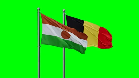 Belgium and Niger flags Stock Footage 294262107