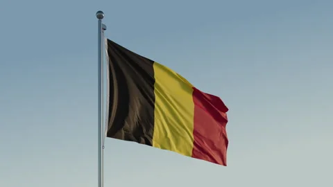 Belgium Brussels Flag loop Cinematic Realistic Waving Blue Sky 스톡 동영상 301735544