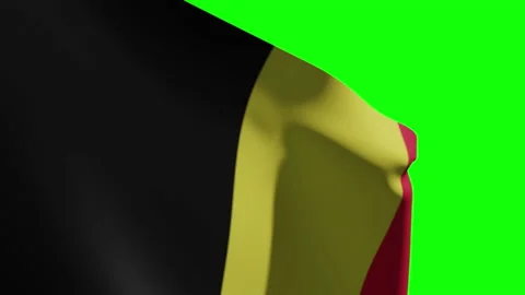 Belgium Flag Close Видео 133539600