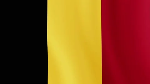 Belgium flag closeup Stock Footage 143673810