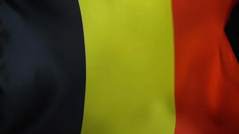 Belgium Flag Flapping Stock Footage 118966723