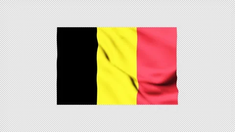 Belgium flag fluttering in the wind Stock Footage 306270126
