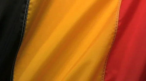 Belgium Flag Video stock 361212