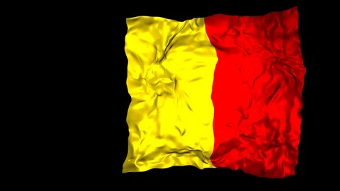 Belgium flag Stock Footage 110752348