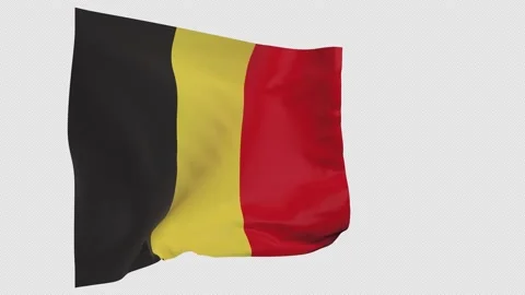 Belgium flag Stock Footage 147634046