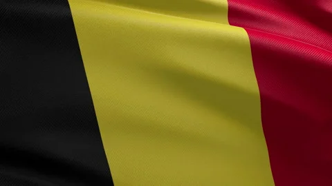 Belgium Flag Stock Footage 157131697
