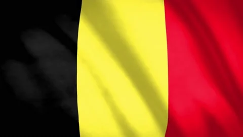 Belgium Flag Stock Footage 188096031