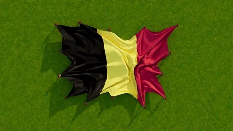 Belgium flag 動画素材 201412222