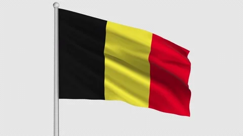 Belgium Flag Stock Footage 207780633