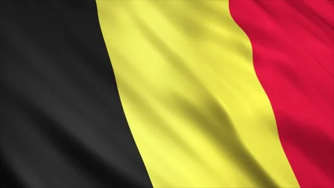 Belgium Flag Stock Footage 249031349