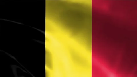 Belgium Flag Stock Footage 262499715