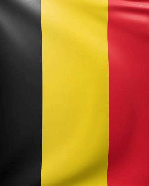 Belgium flag  Stock Footage 302741958