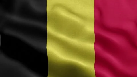 Belgium flag Front Stock Footage 318662846