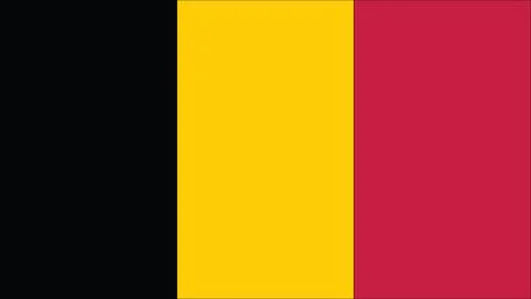 Belgium flag 스톡 일러스트