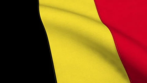 Belgium Flag Loop Stock Footage 241238972