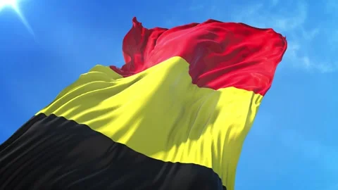 Belgium Flag Low Angle View Stock Footage 295685067