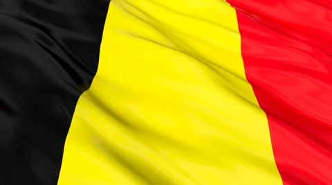 Belgium FLAG Seamless Vídeo Stock 48624297