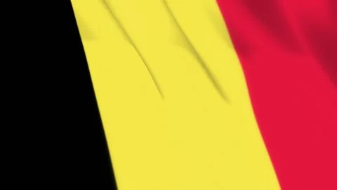 Belgium Flag Seamless Loop 4k 60fps on Sky Background Stock Footage 340342662