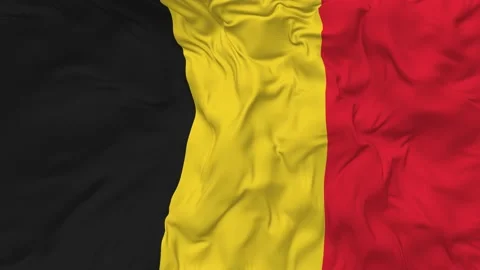 Belgium Flag Seamless Looping Background Waving Slow Motion Stock Footage 233813404