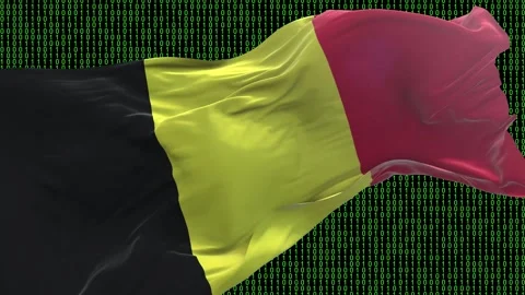 Belgium flag - Waving flag on matrix binary code background Stock Footage 321420875