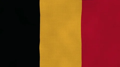 Belgium flag waving Stock Footage 102589383