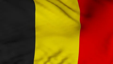 The Belgium flag waving in the wind Stock Footage 88388912