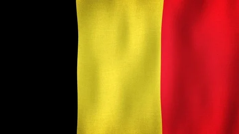 Belgium flag waving in the wind Stock-Footage 102439659