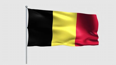 Belgium Flags - Pack 1 Stock Footage 338405237