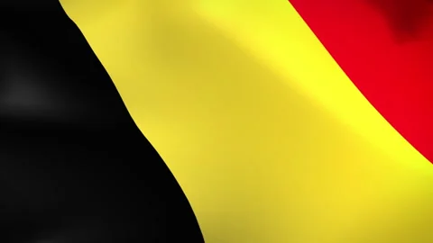 Belgium Flags - Pack 2 Stock Footage 338405107