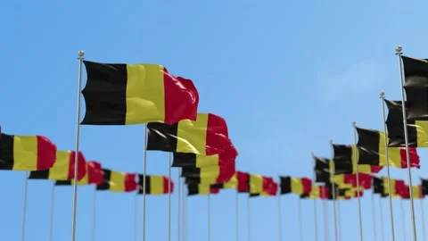 Belgium Row Of Flags 3D Animation Stock-Footage 148625591