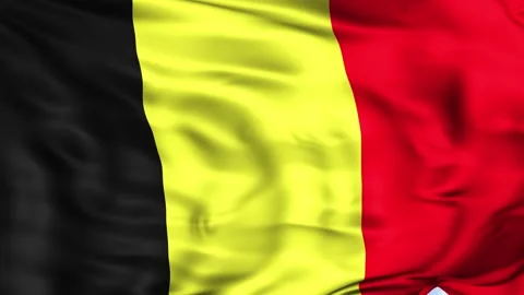 Belgium Waving Flag Background Stock Footage 204133269